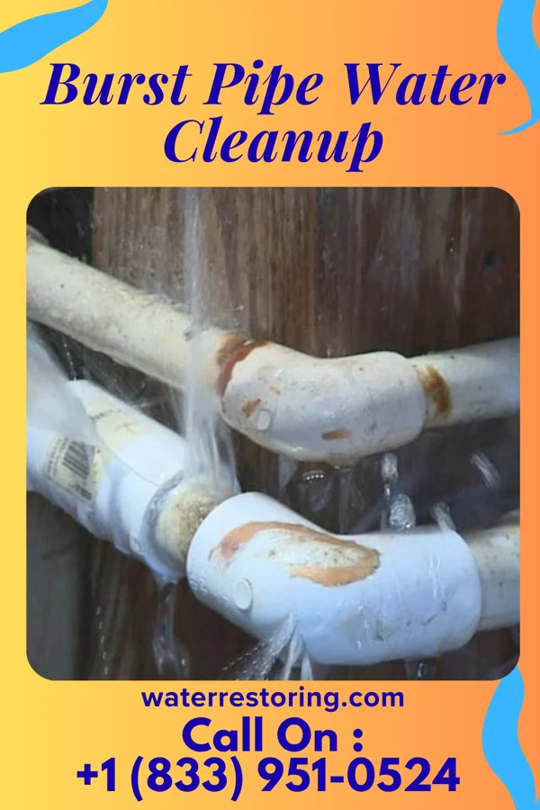 Burst Pipe Water Cleanup in Swedesboro, NJ
