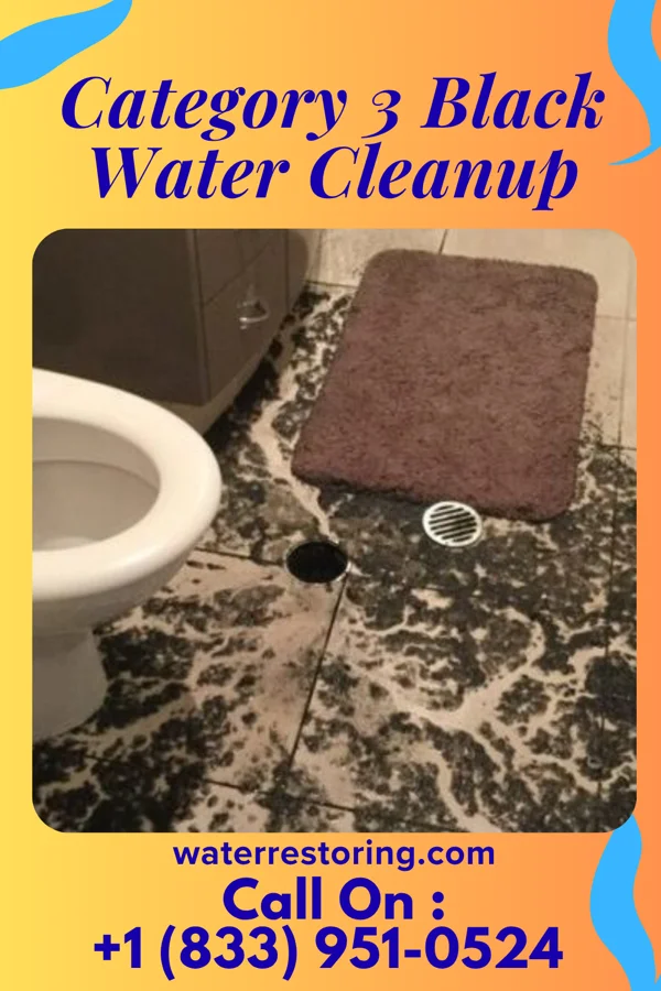 Category 3 Black Water Cleanup in Swedesboro, NJ