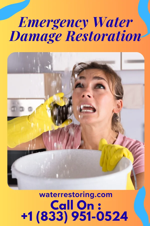 Emergency Water Damage Restoration in Swedesboro, NJ