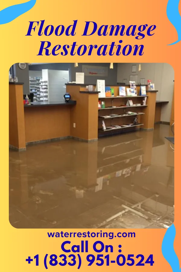 Flood Damage Restoration in Swedesboro, NJ