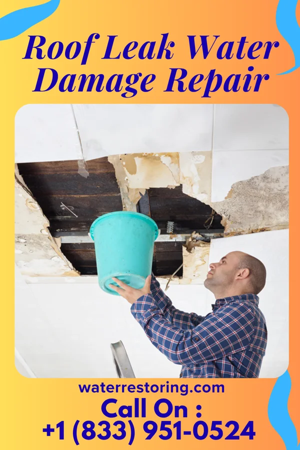 Roof Leak Water Damage Repair in Swedesboro, NJ