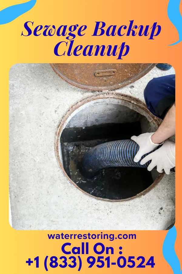 Sewage Backup Cleanup in Swedesboro, NJ