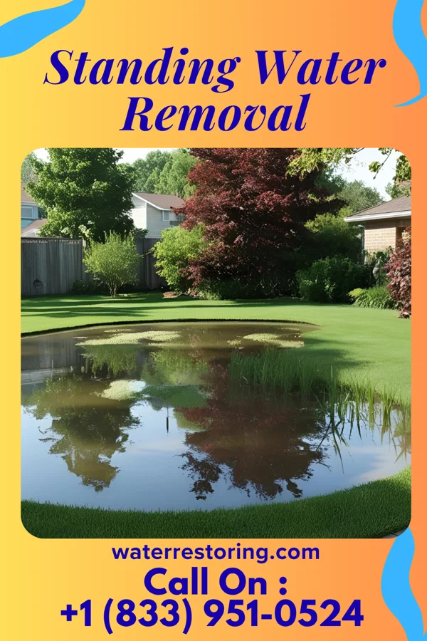 Standing Water Removal in Swedesboro, NJ